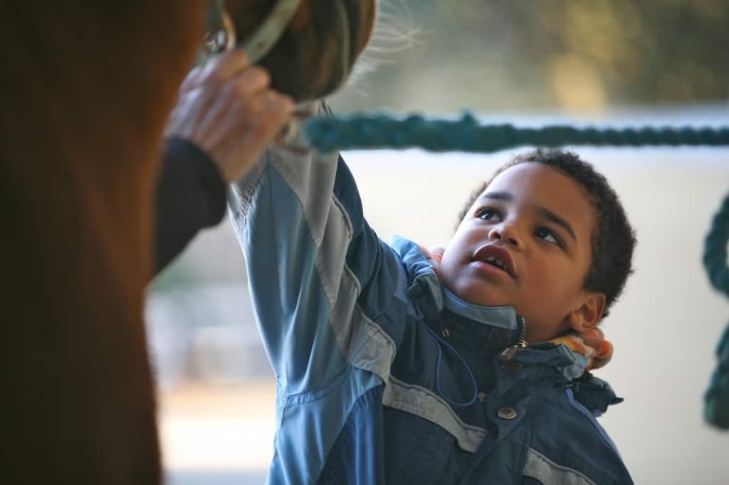 Hipoterapia, terapias a caballo para niños con alguna discapacidad