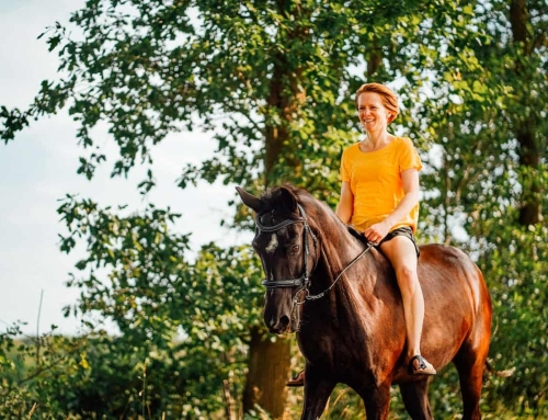 Hipoterapia y equitación terapéutica: Diferencias y similitudes