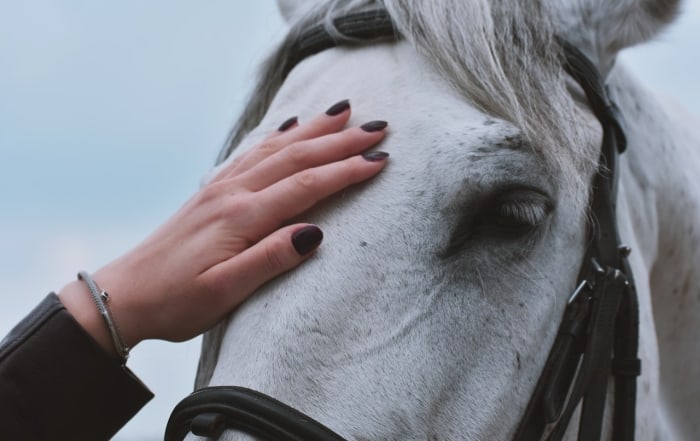 pexels-dids-2334005